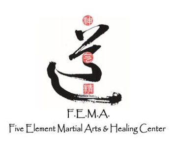 FEMA Logo Five Element Martial Arts & Healing Center 2